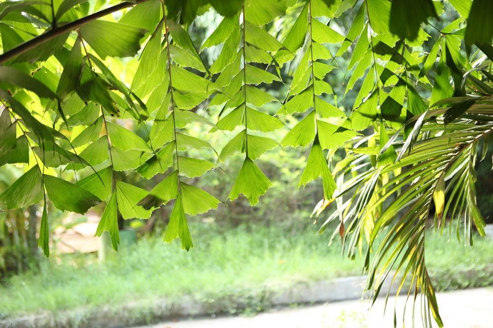 The Kabiki Hotel Phnom Penh Exterior foto